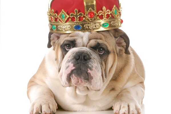 Thinking of Being Your Own Boss.jpg